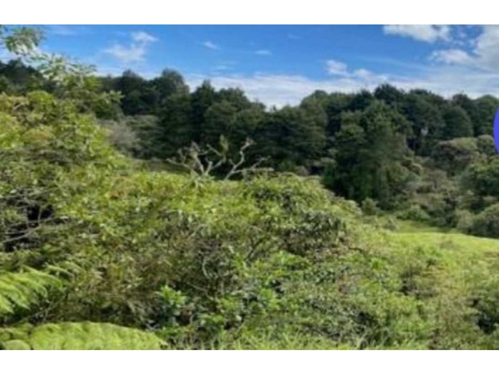 VENTA DE LOTE EN GUARNE ALTA MIXTURA — foto 3