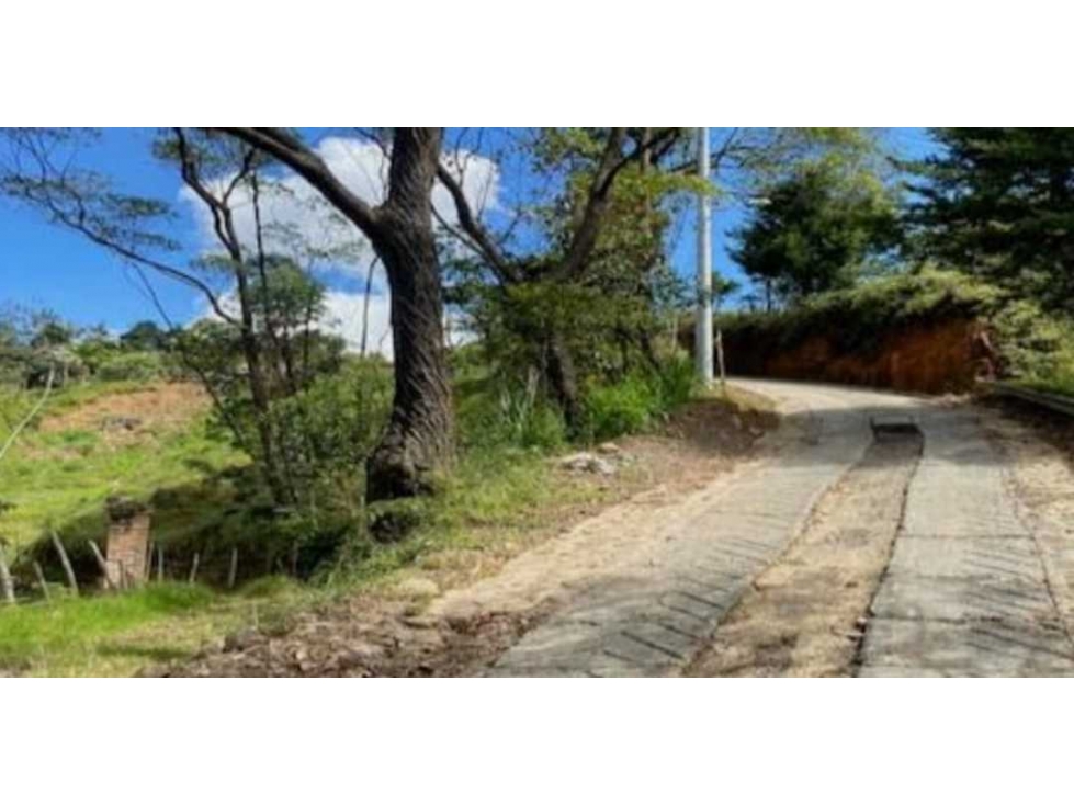 VENTA DE LOTE EN GUARNE ALTA MIXTURA — foto 4