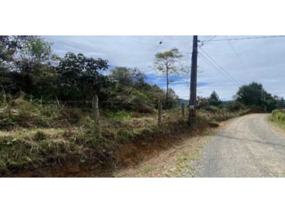 VENTA DE LOTE EN GUARNE ALTA MIXTURA — foto 5