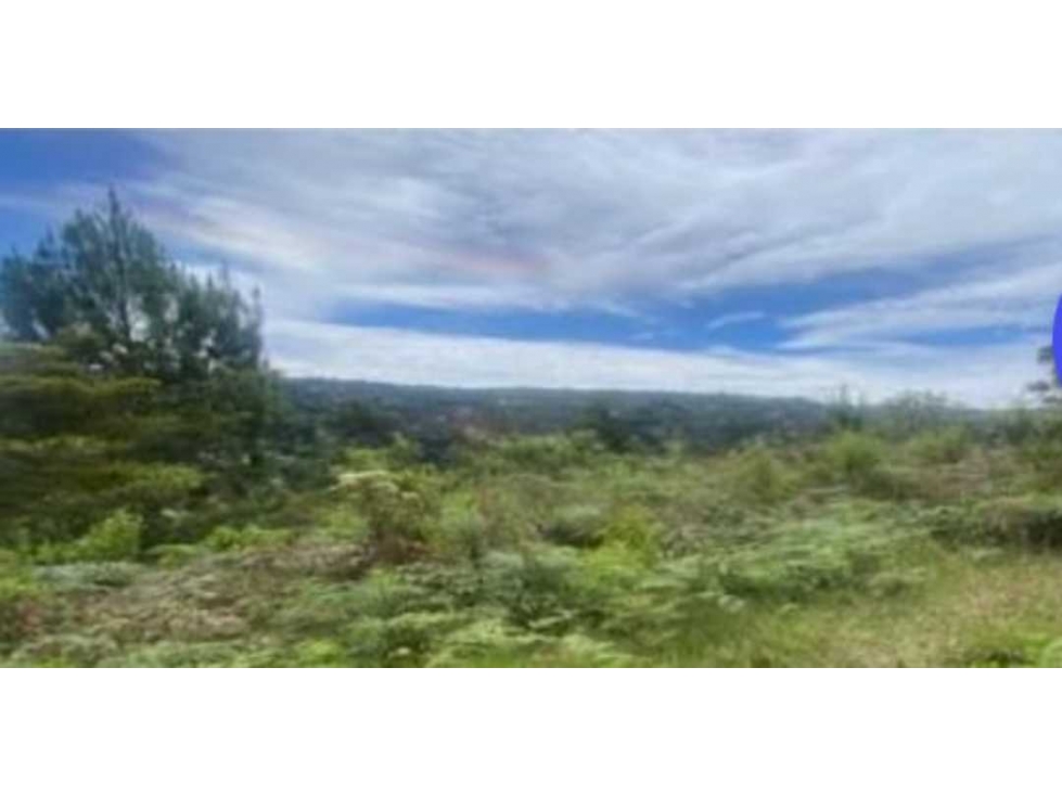 VENTA DE LOTE EN GUARNE ALTA MIXTURA — foto 6