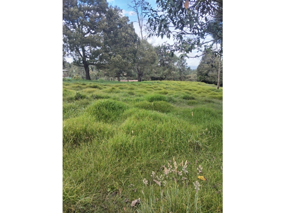 Venta de lote en Guarne, Oriente Antioqueño — foto 3