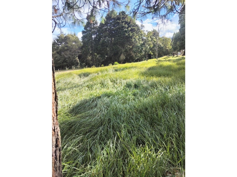Venta de lote en Guarne, Oriente Antioqueño — foto 4
