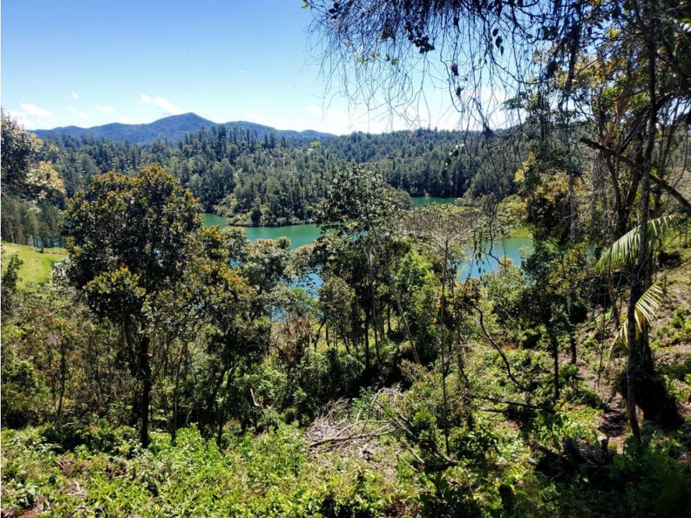 Venta de Lote en guatape con salida al embalse de 11.400m2 — foto 3