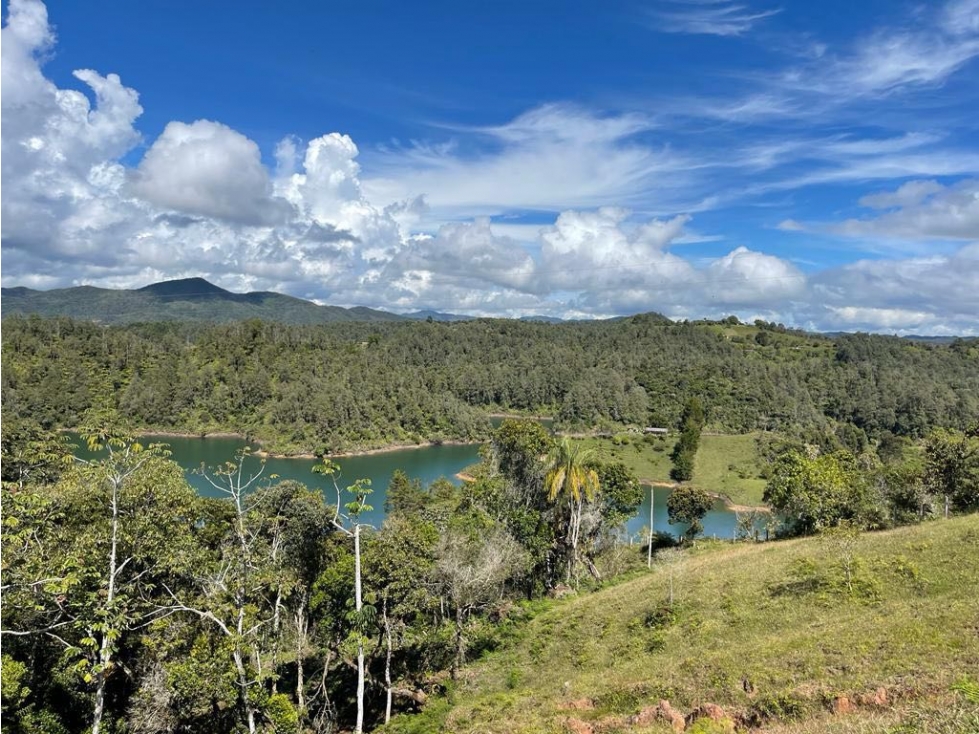 Venta de Lote en guatape con salida al embalse de 11.400m2 — foto 4