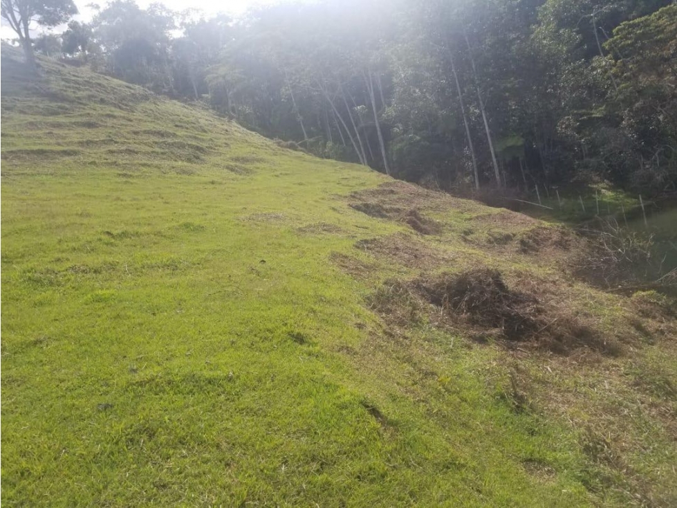 Venta de Lote en guatape con salida al embalse de 11.400m2 — foto 5