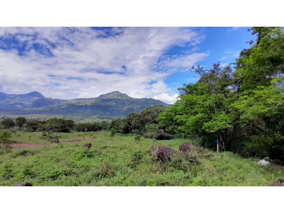 VENTA DE LOTE EN JERICO , SUROESTE ANTIOQUEÑO Unidad Cerrada - 1