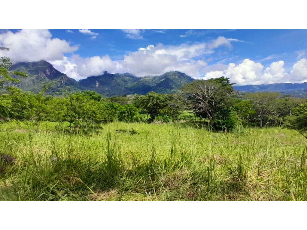 VENTA DE LOTE EN JERICO , SUROESTE DE ANTIOQUIA U C - 1