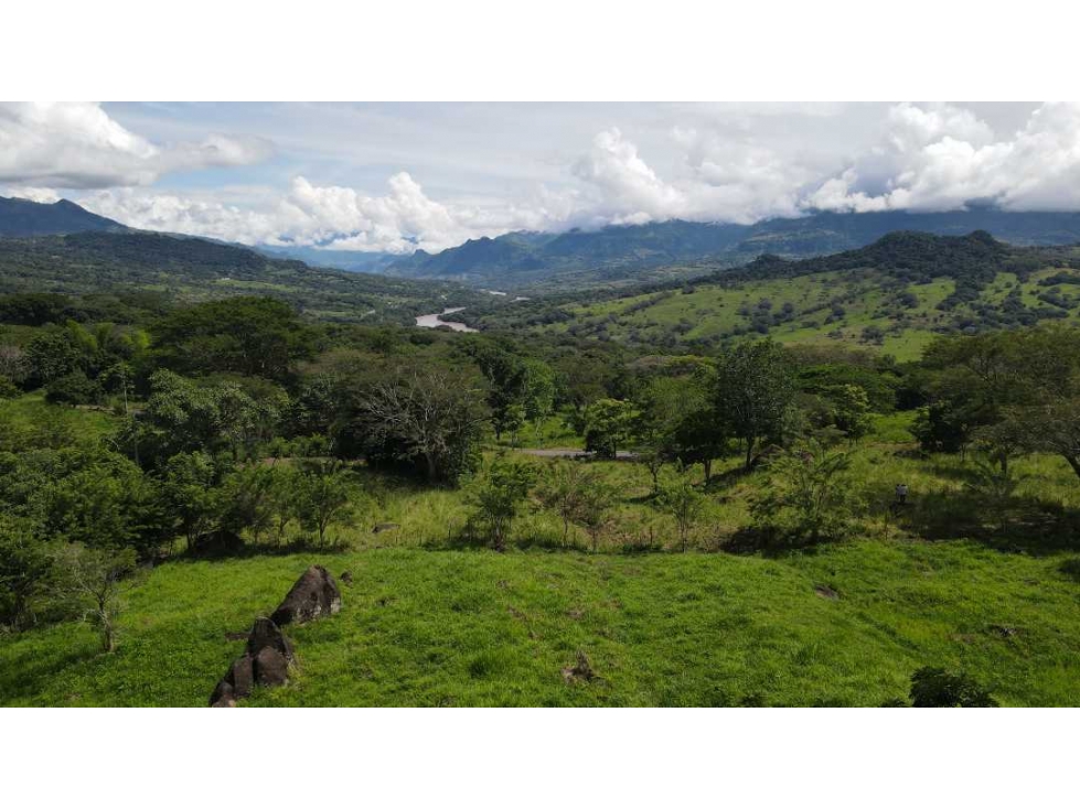 VENTA DE LOTE EN JERICO , SUROESTE DE ANTIOQUIA U C - 2