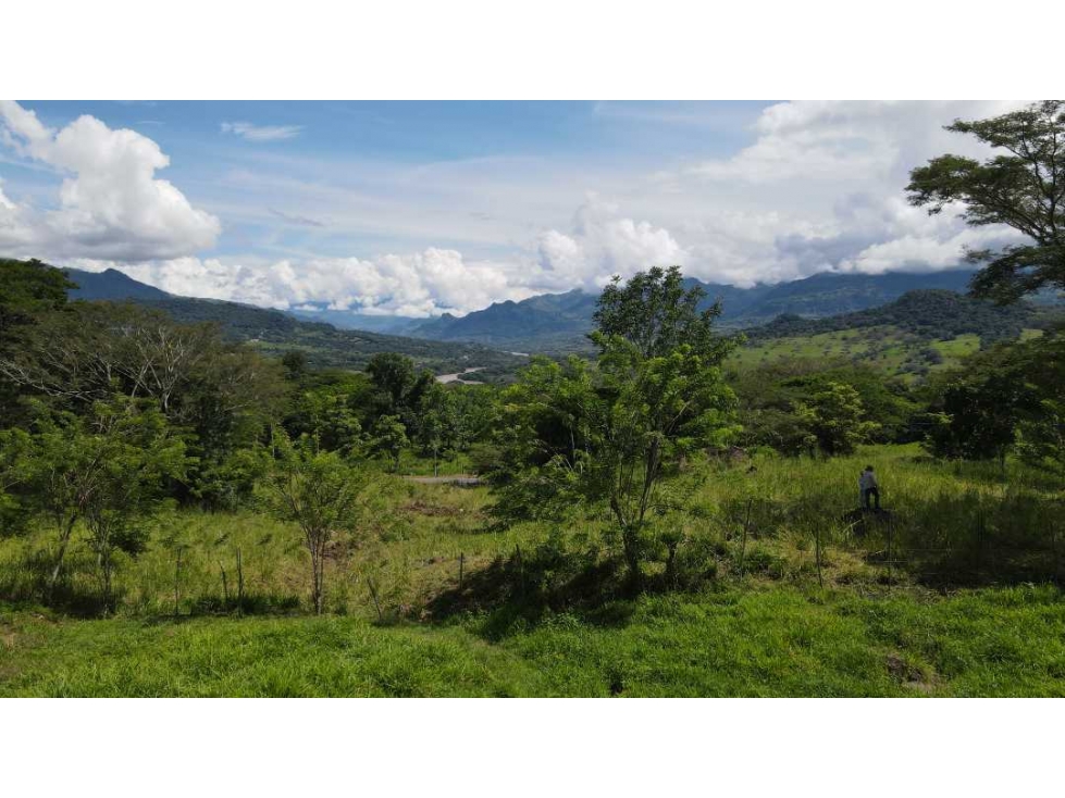 VENTA DE LOTE EN JERICO , SUROESTE DE ANTIOQUIA U C - 4