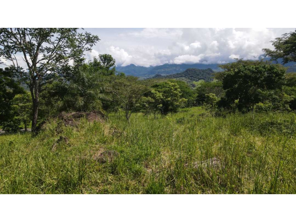 VENTA DE LOTE EN JERICO , SUROESTE DE ANTIOQUIA U C - 5