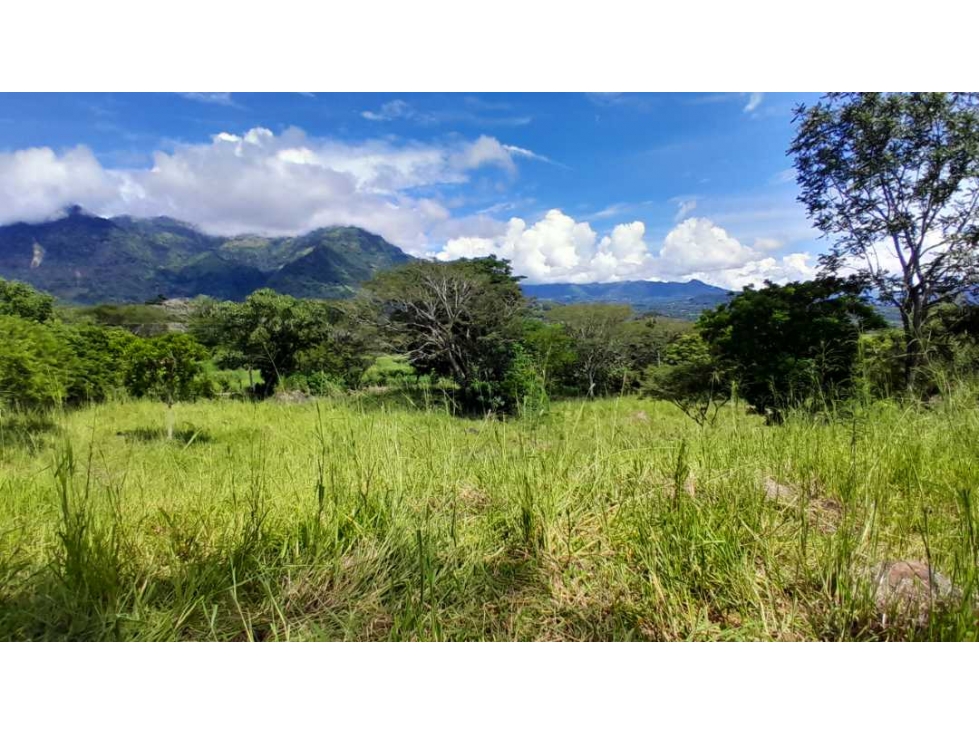 VENTA DE LOTE EN JERICO , SUROESTE DE ANTIOQUIA U C - 6