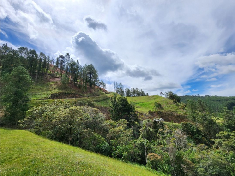 VENTA DE LOTE EN JUANITO LAGUNA — foto 2