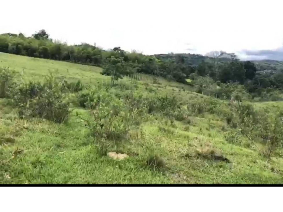 Venta de Lote en la Cumbre Valle (J) - 6
