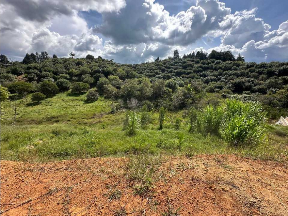 Venta de lote en la parcelacion natura arrayanes
