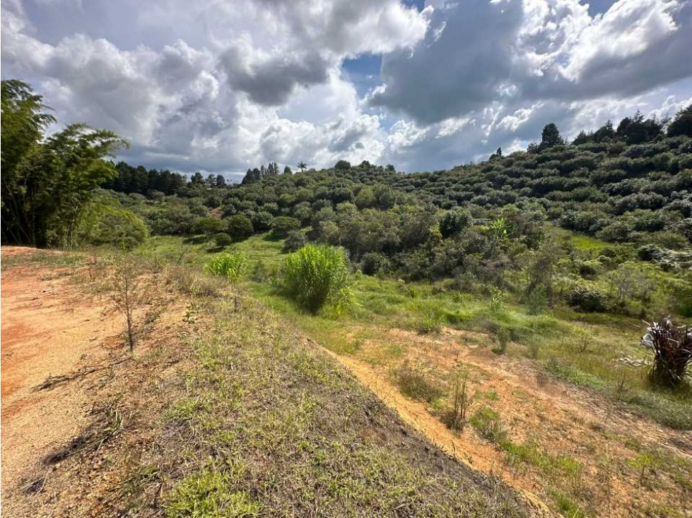 Venta de lote en la parcelacion natura arrayanes — foto 2