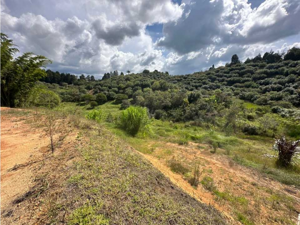 Venta de lote en la parcelacion natura arrayanes — foto 3