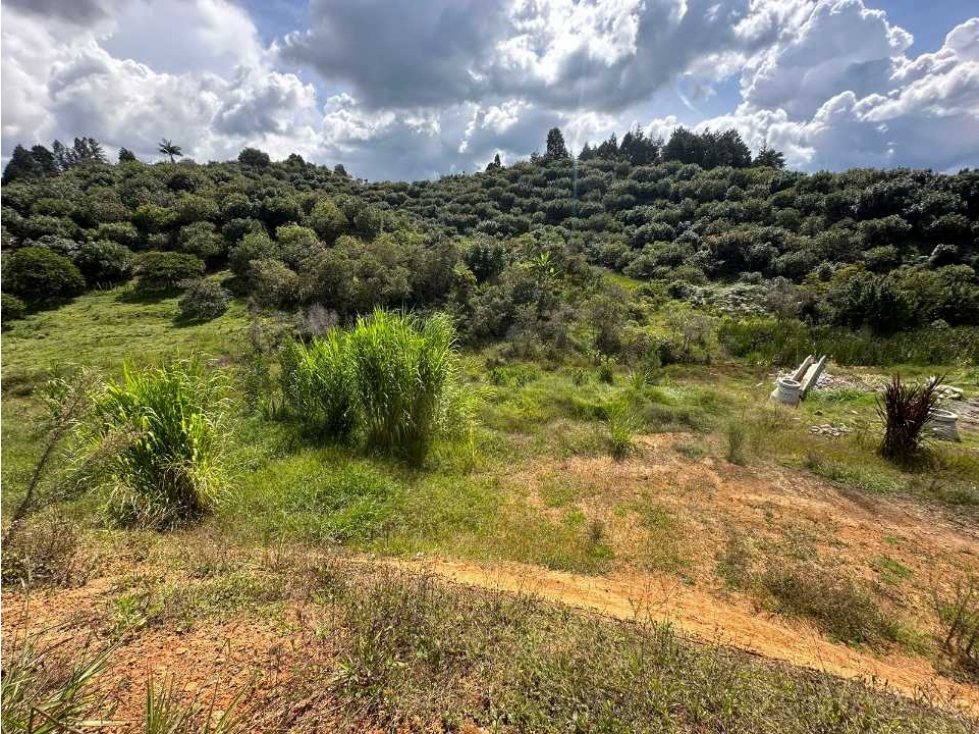 Venta de lote en la parcelacion natura arrayanes — foto 4
