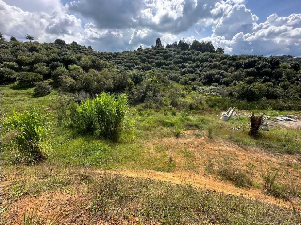 Venta de lote en la parcelacion natura arrayanes — foto 5