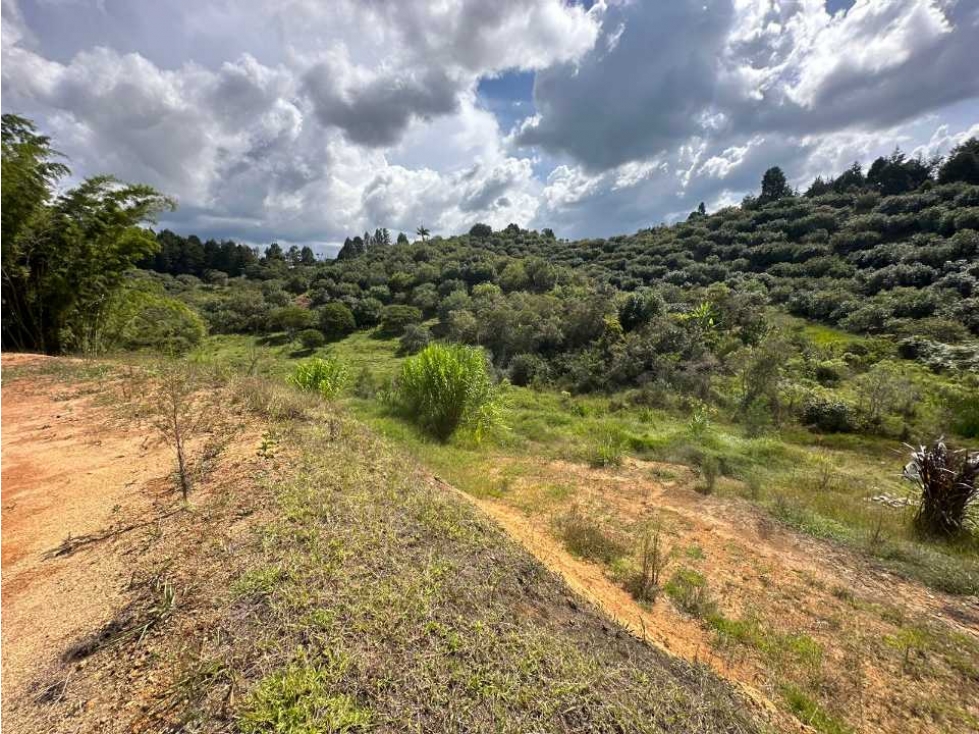 Venta de lote en la parcelacion natura arrayanes — foto 6