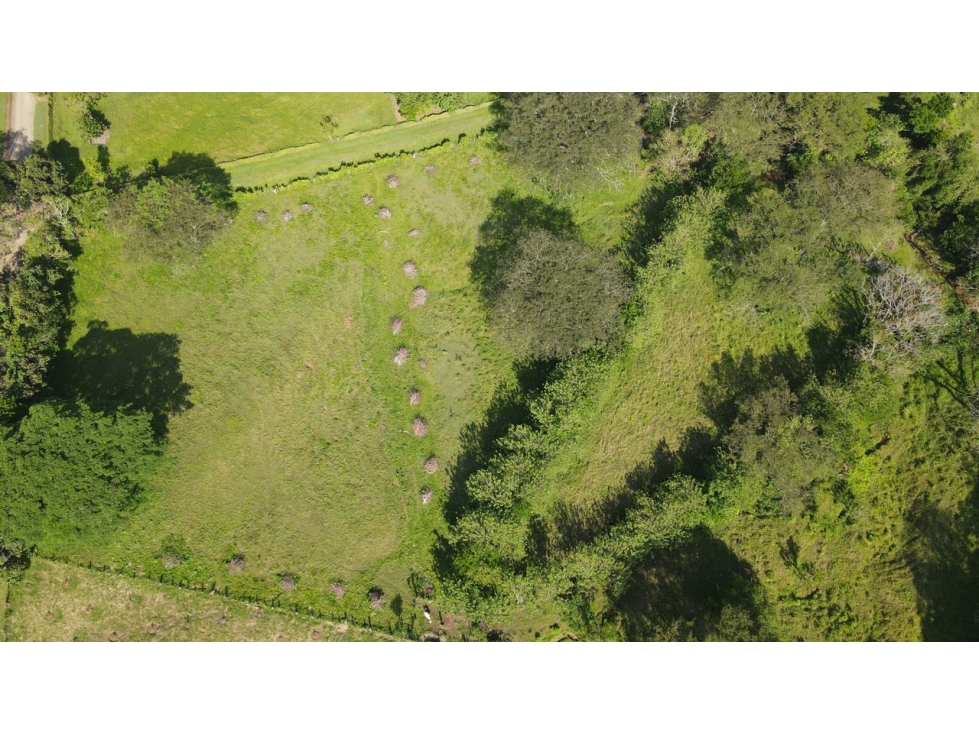 VENTA DE LOTE EN LA PINTADA SUROESTE ANTIOQUEÑO — foto 2