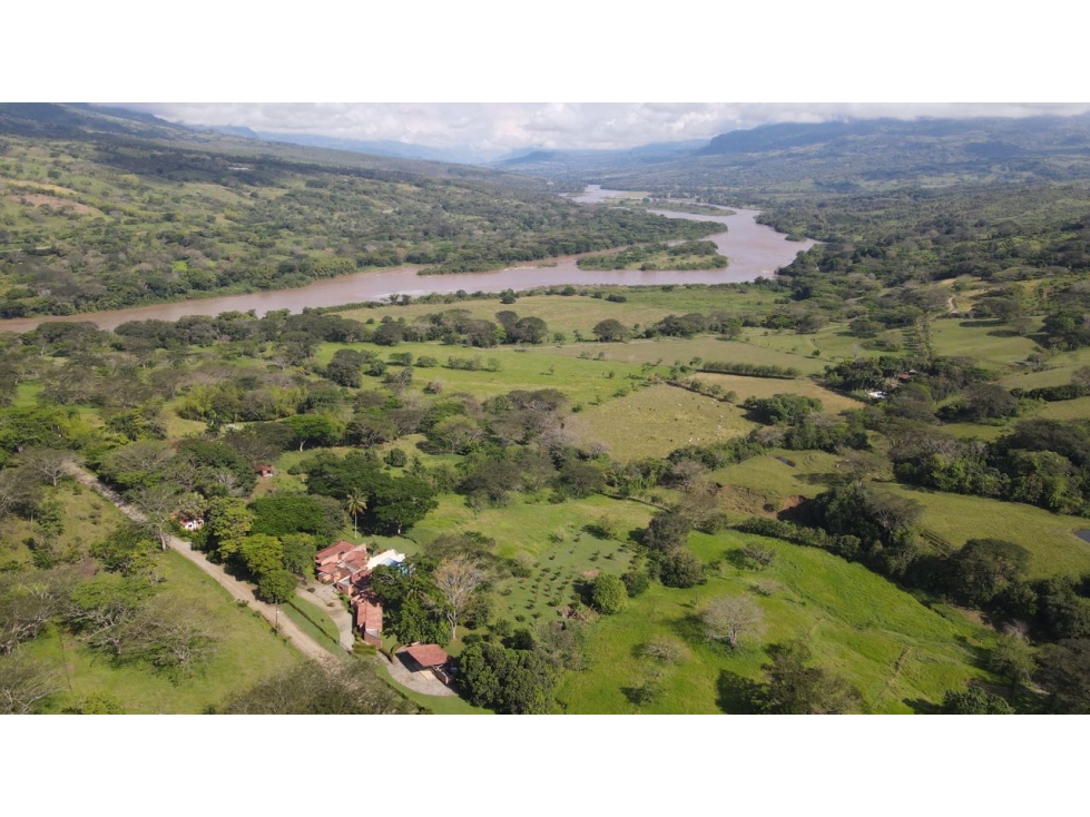 VENTA DE LOTE EN LA PINTADA SUROESTE ANTIOQUEÑO — foto 6