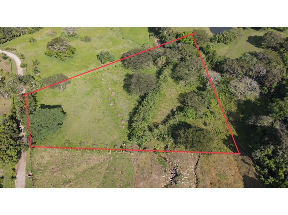 VENTA DE LOTE EN LA PINTADA SUROESTE ANTIOQUEÑO