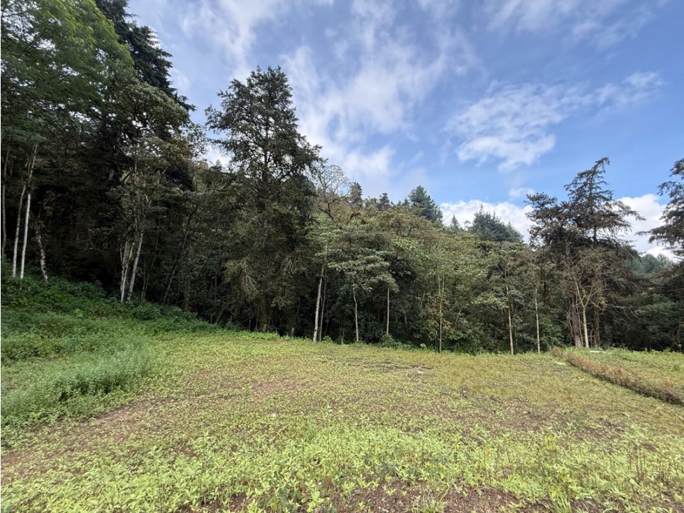 VENTA DE LOTE EN LA TRANSVERSAL DE LA MONTAÑA