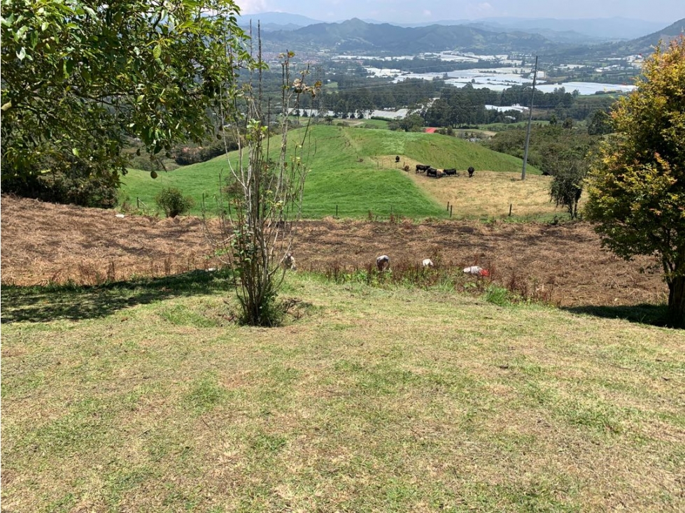 Venta de lote en la vía la ceja la unión