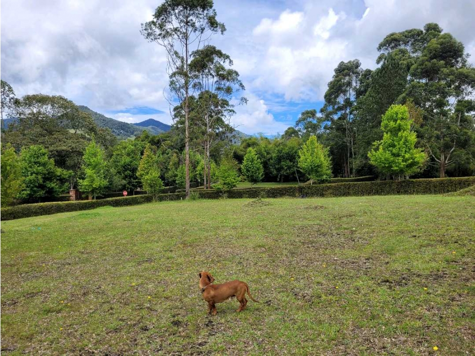Venta de Lote en la via San Antonio La Ceja Unidad Cerrada — foto 6