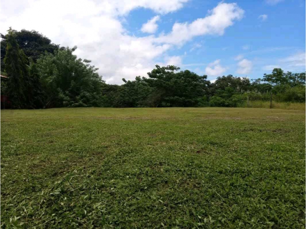 VENTA DE LOTE EN LAS UVAS VALLE LOS LIRIOS EN SAN CARLOS - 1