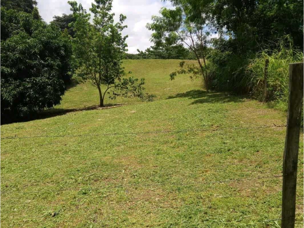 VENTA DE LOTE EN LAS UVAS VALLE LOS LIRIOS EN SAN CARLOS - 2