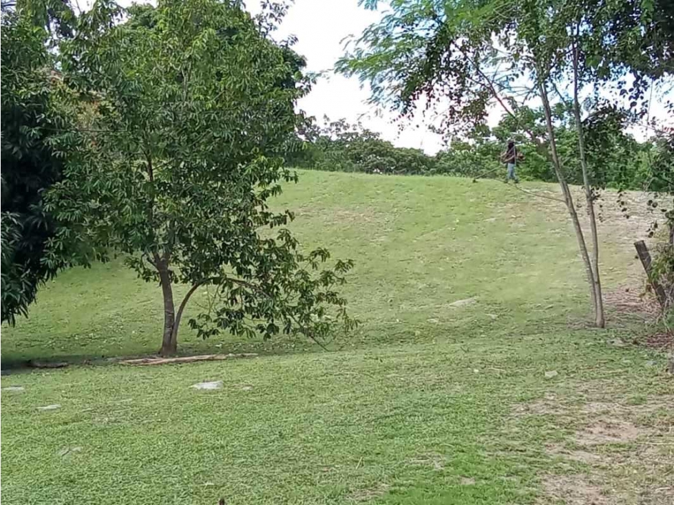 VENTA DE LOTE EN LAS UVAS VALLE LOS LIRIOS EN SAN CARLOS - 3