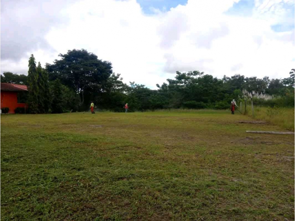 VENTA DE LOTE EN LAS UVAS VALLE LOS LIRIOS EN SAN CARLOS - 5