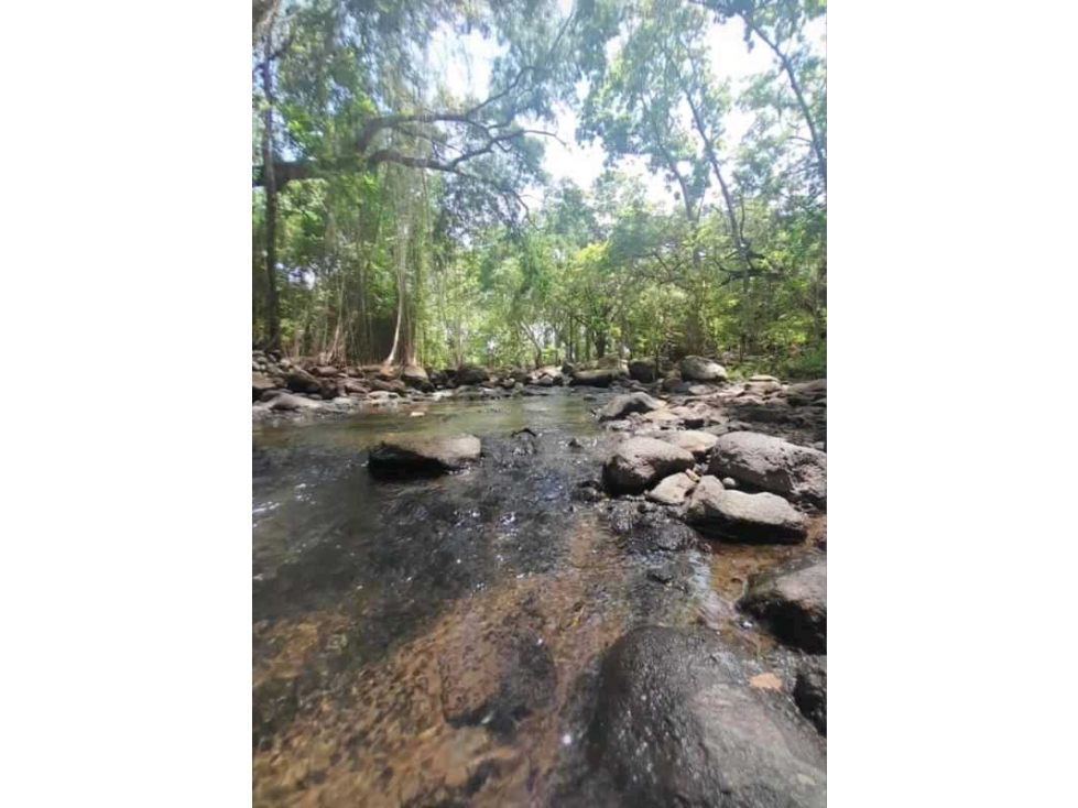 VENTA DE LOTE EN LAS UVAS VALLE LOS LIRIOS EN SAN CARLOS - 6