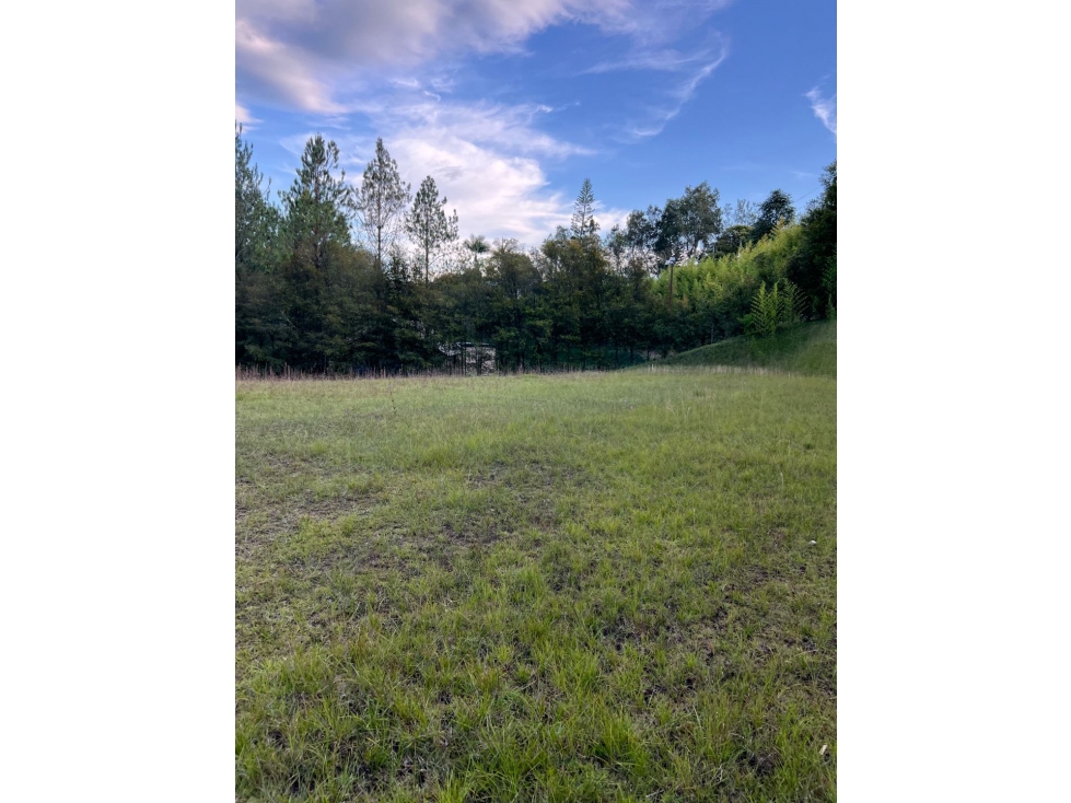 Venta de lote en Llanogrande