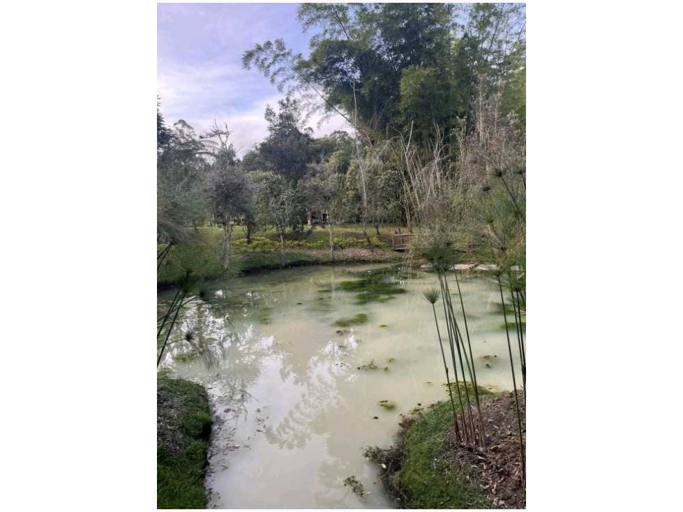 VENTA DE LOTE EN LLANOGRANDE.
