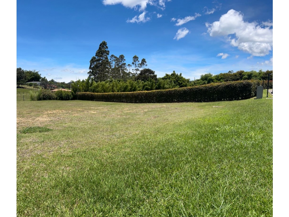 VENTA DE LOTE EN LLANOGRANDE