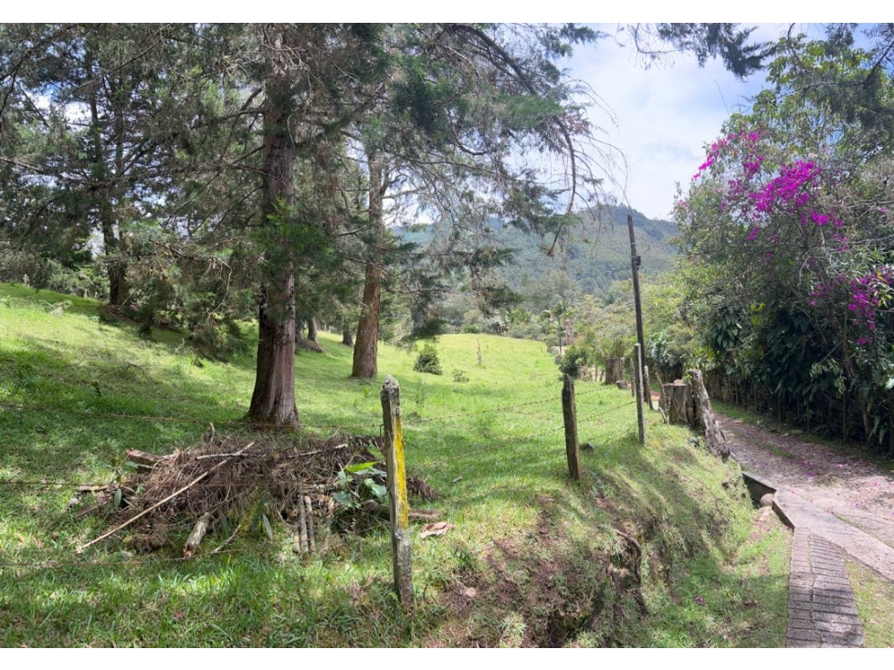 VENTA DE LOTE POR EAFIT — foto 3