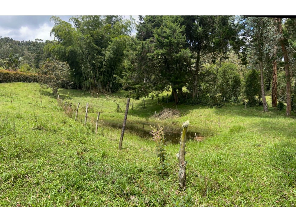 VENTA DE LOTE POR EAFIT — foto 4