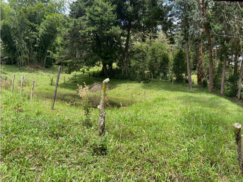VENTA DE LOTE POR EAFIT — foto 5