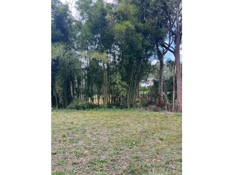Venta de lote en Llanogrande