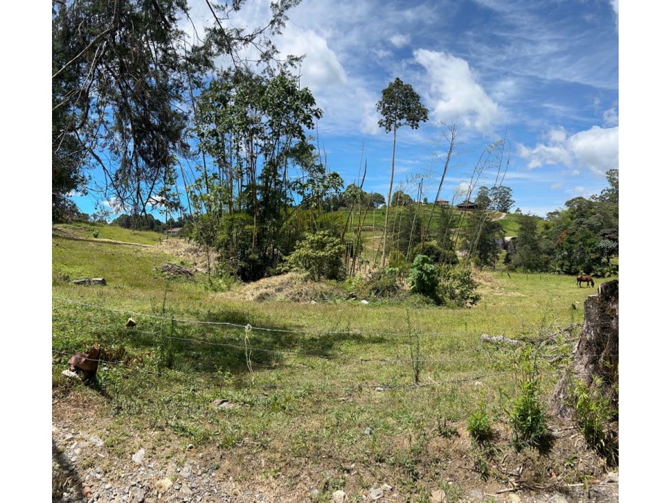Venta de Lote en Llanogrande