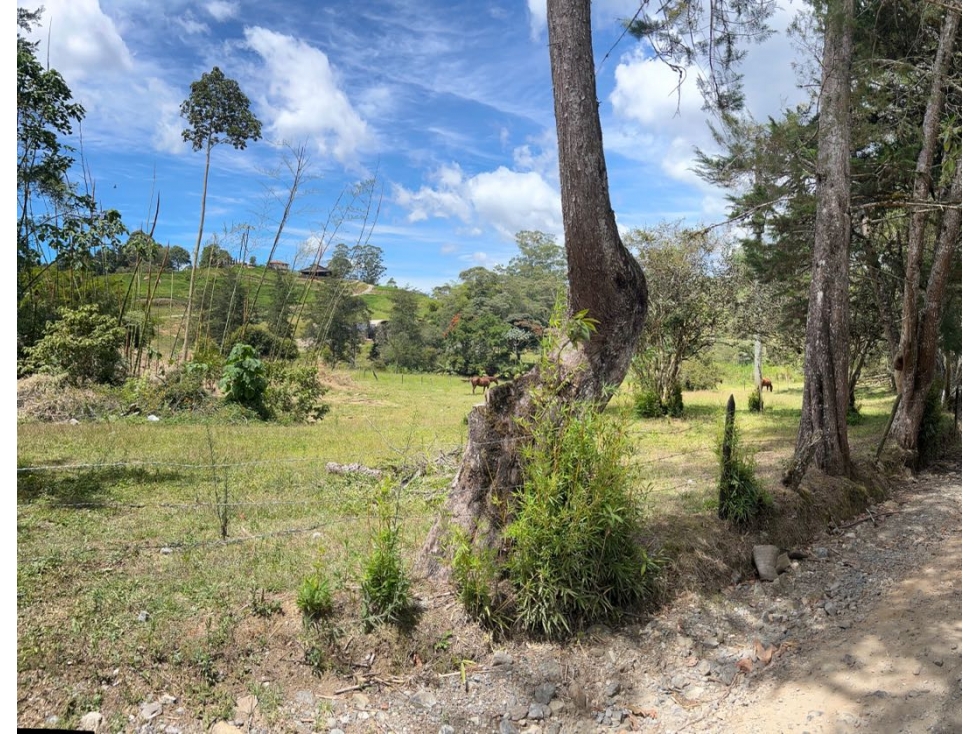 Venta de Lote en Llanogrande — foto 2