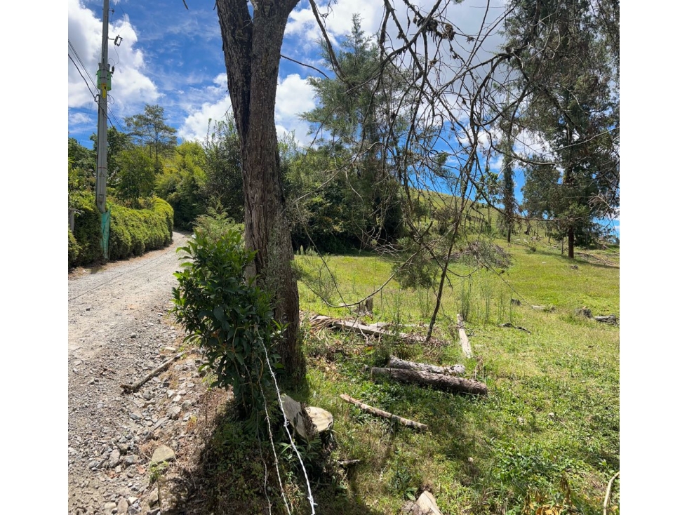 Venta de Lote en Llanogrande — foto 3