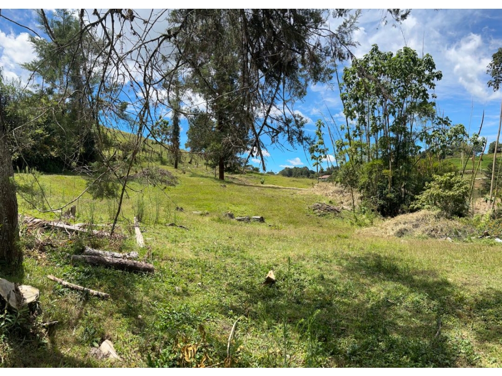 Venta de Lote en Llanogrande — foto 4