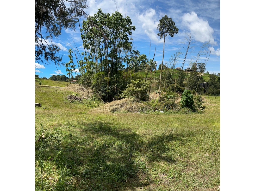 Venta de Lote en Llanogrande — foto 5