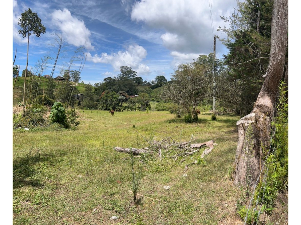 Venta de Lote en Llanogrande — foto 6