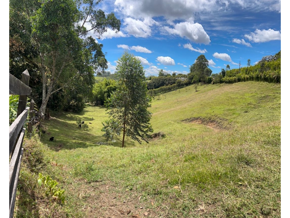 Venta de Lote en Llanogrande