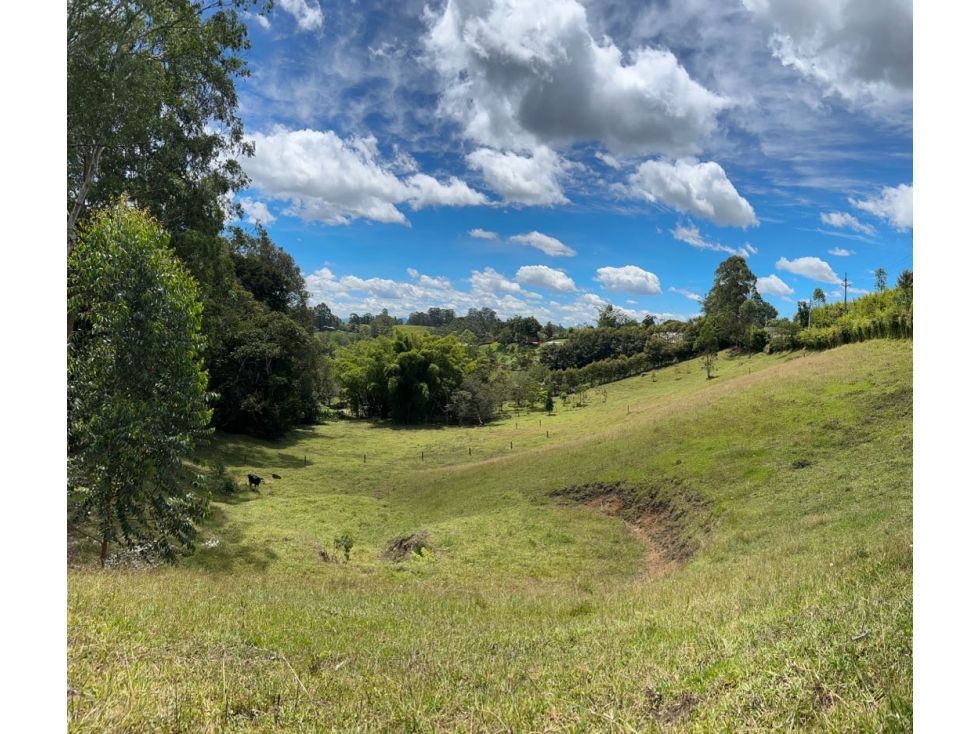 Venta de Lote en Llanogrande — foto 4