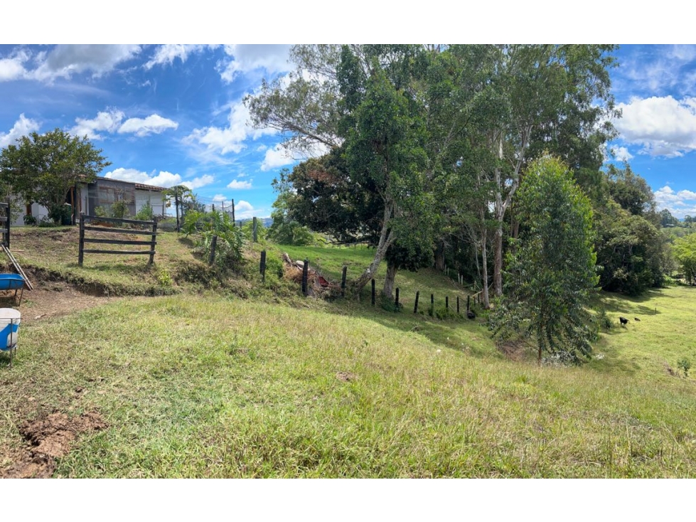 Venta de Lote en Llanogrande — foto 5